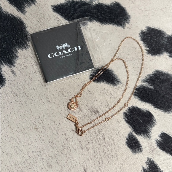 #47 COACH - Picture 1 of 1